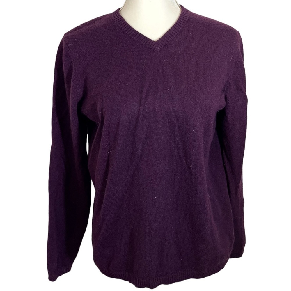 Stephanie Parks 100% 2 Ply Cashmere Purple V Neck Pullover Sweater Size …